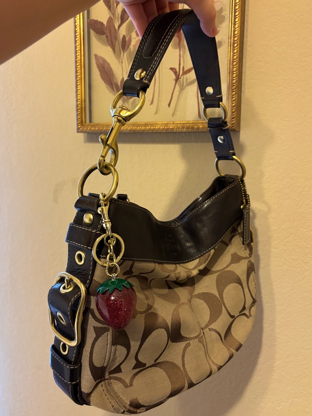 Coach Zoe Khaki/Brown Signature Hobo Shoulder Bag